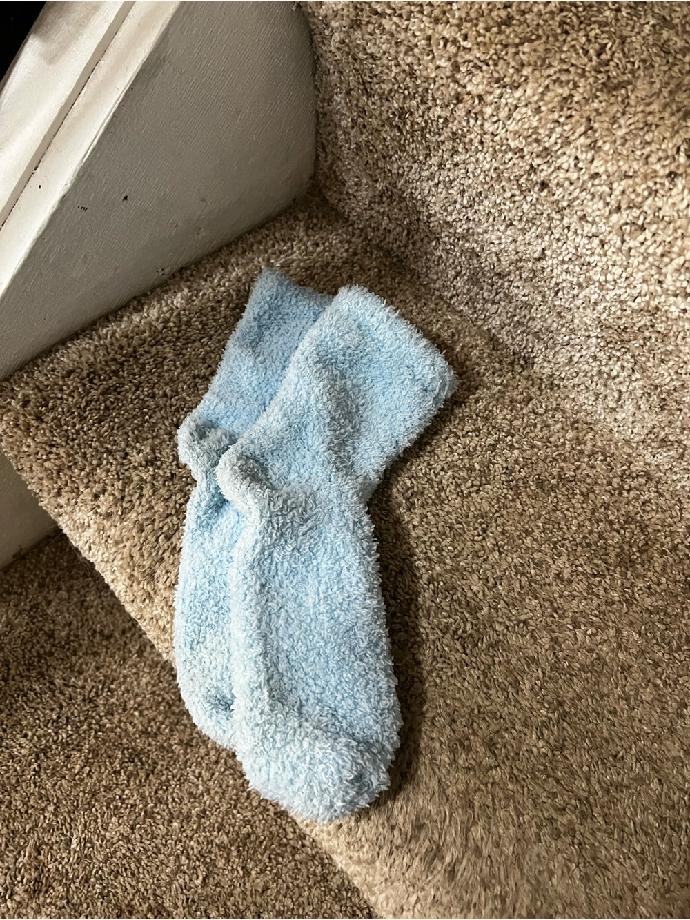 Source Unknown Light Blue Plush Crew Socks - Women